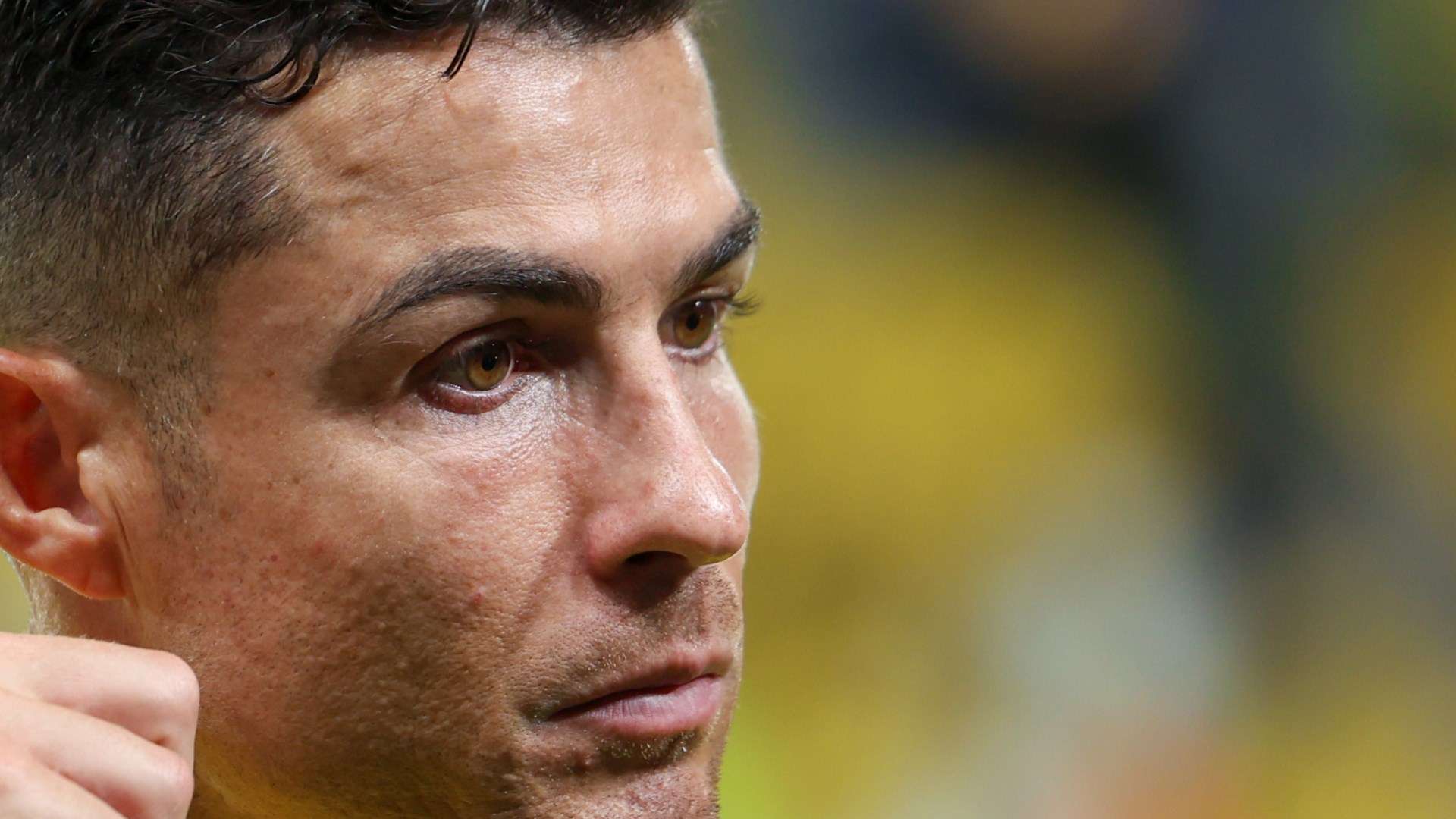 它将在历史 它将在历史